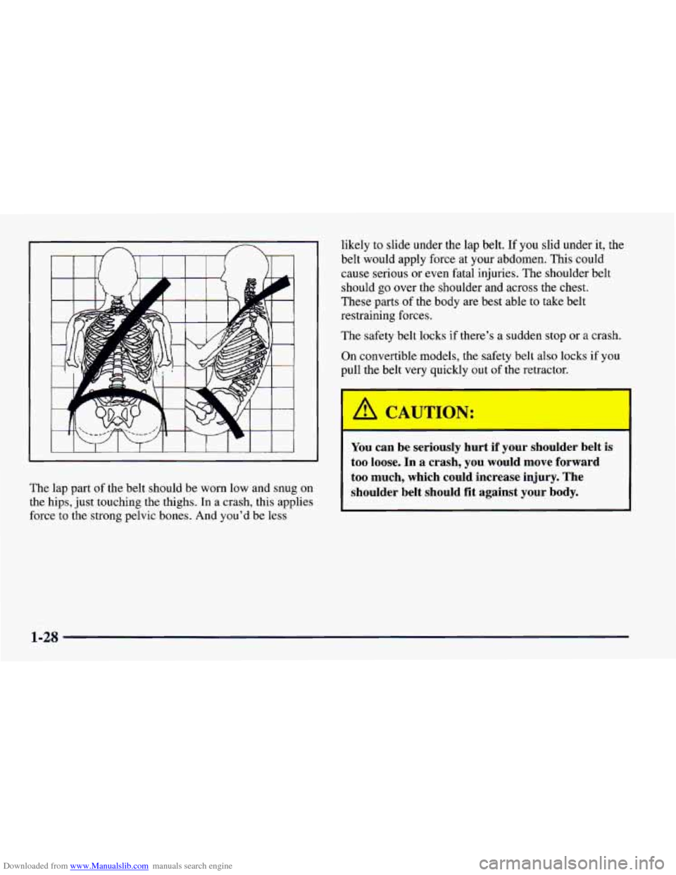 CHEVROLET CAMARO 1997 4.G Owners Guide Downloaded from www.Manualslib.com manuals search engine I I
The lap part of the belt should be worn low and snug on
the hips,
just touching the thighs. In a crash, this applies
force to the
str CHEVROLET CAMARO 1997 4.G Owners Guide Downloaded from www.Manualslib.com manuals search engine I I
The lap part of the belt should be worn low and snug on
the hips,
just touching the thighs. In a crash, this applies
force to the
str