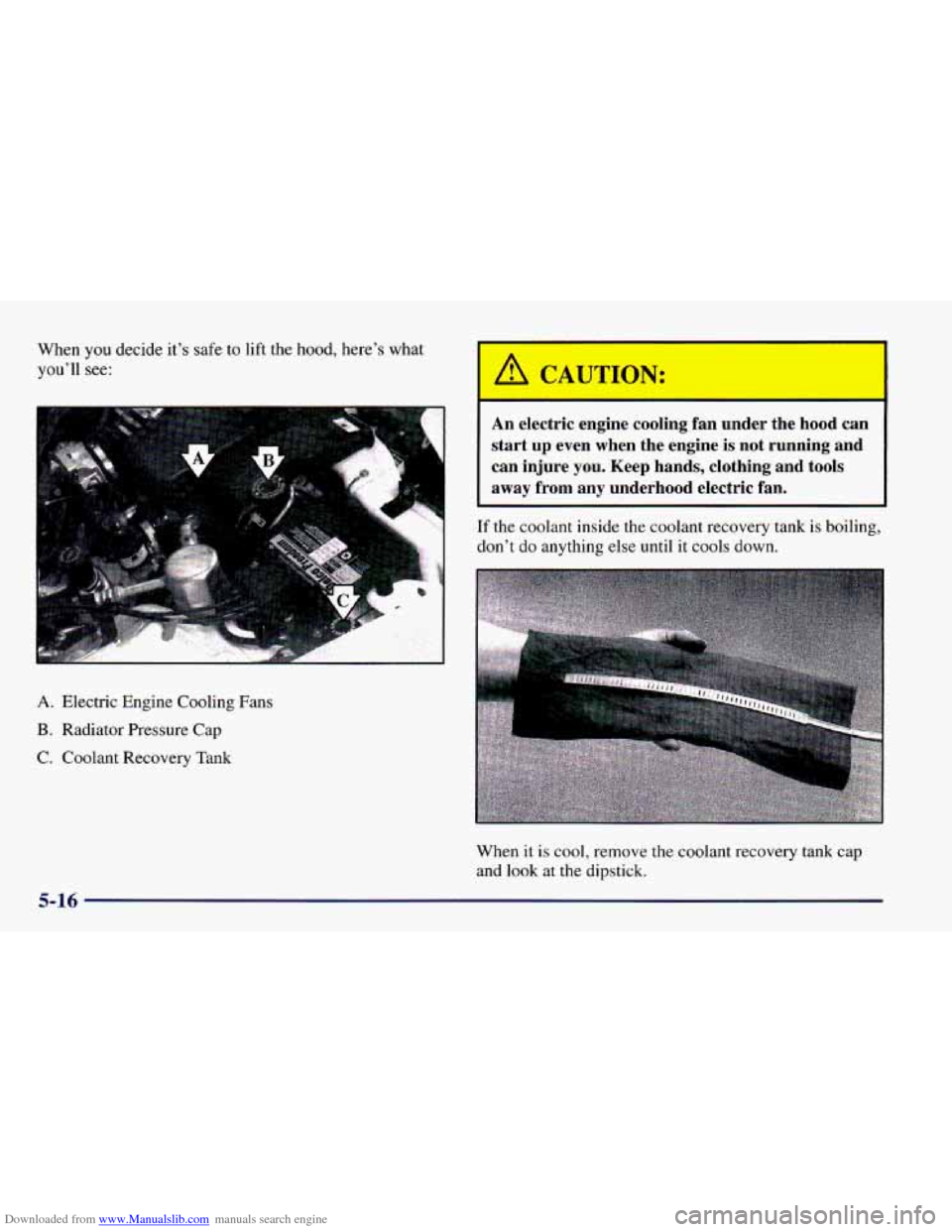 CHEVROLET CAMARO 1998 4.G Owners Manual Downloaded from www.Manualslib.com manuals search engine When you decide it’s safe to lift the hood, here’s what
you’ll
see:
c‘
I
A. Electric Engine Cooling Fans
B. Radiator P CHEVROLET CAMARO 1998 4.G Owners Manual Downloaded from www.Manualslib.com manuals search engine When you decide it’s safe to lift the hood, here’s what
you’ll
see:
c‘
I
A. Electric Engine Cooling Fans
B. Radiator P