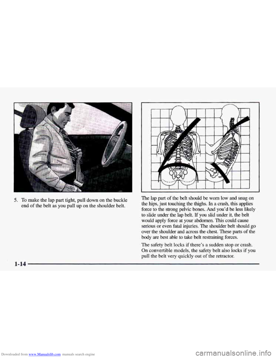 CHEVROLET CAMARO 1998 4.G Owners Guide Downloaded from www.Manualslib.com manuals search engine 5. To make the lap part tight, pull down on the buckle
end
of the belt as you pull up on the shoulder belt. The lap part
CHEVROLET CAMARO 1998 4.G Owners Guide Downloaded from www.Manualslib.com manuals search engine 5. To make the lap part tight, pull down on the buckle
end
of the belt as you pull up on the shoulder belt. The lap part