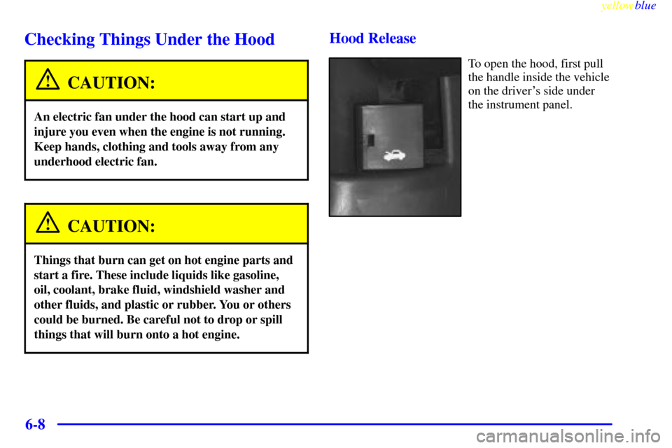 CHEVROLET CAVALIER 1999 3.G Owners Manual yellowblue     
6-8
Checking Things Under the Hood
CAUTION:
An electric fan under the hood can start up and
injure you even when the engine is not running.
Keep hands, clothing and tools away from any