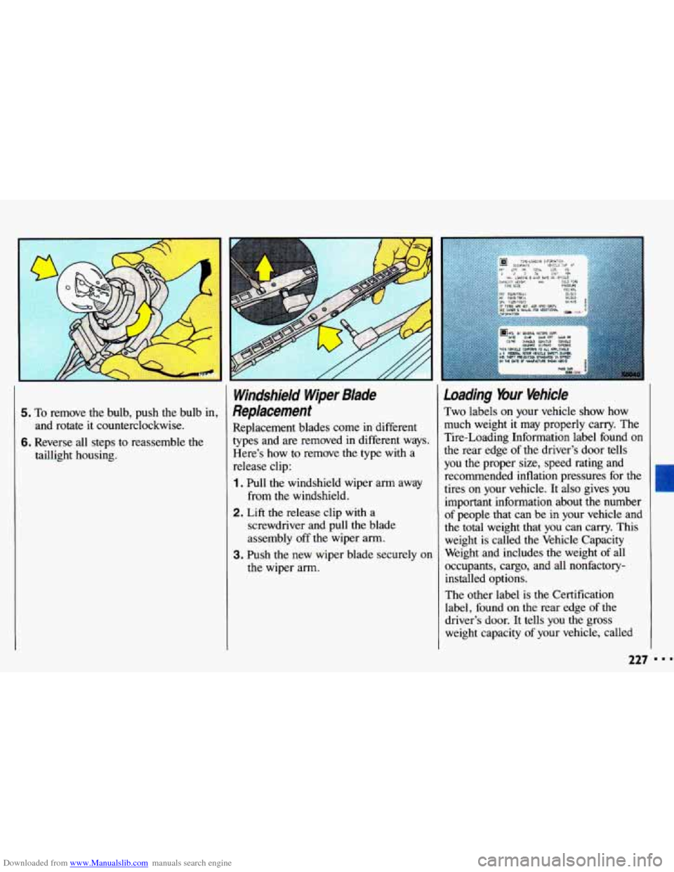 CHEVROLET CAVALIER 1993 1.G Owners Manual Downloaded from www.Manualslib.com manuals search engine 5. To remove the bulb, push the bulb in,
and rotate it counterclockwise.
6. Reverse all steps to reassemble the
taillight housi CHEVROLET CAVALIER 1993 1.G Owners Manual Downloaded from www.Manualslib.com manuals search engine 5. To remove the bulb, push the bulb in,
and rotate it counterclockwise.
6. Reverse all steps to reassemble the
taillight housi