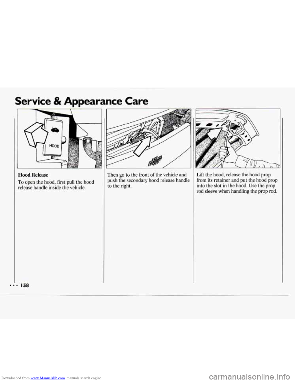 CHEVROLET CAVALIER 1994 1.G Owners Manual Downloaded from www.Manualslib.com manuals search engine Service & Appearance Care
Hood Release
To open the hood, first pull the hood
release handle inside the vehicle. Then
go to the fro CHEVROLET CAVALIER 1994 1.G Owners Manual Downloaded from www.Manualslib.com manuals search engine Service & Appearance Care
Hood Release
To open the hood, first pull the hood
release handle inside the vehicle. Then
go to the fro