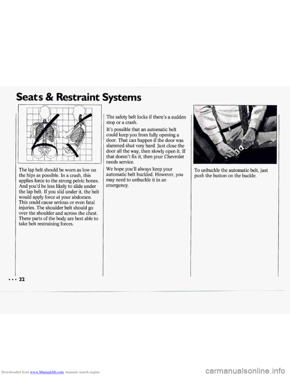 CHEVROLET CAVALIER 1994 1.G Owners Manual Downloaded from www.Manualslib.com manuals search engine I
Seats & Restraint
The lap belt should be worn as low on
:he hips as possible. In a crash, this
lpplies force to the strong p CHEVROLET CAVALIER 1994 1.G Owners Manual Downloaded from www.Manualslib.com manuals search engine I
Seats & Restraint
The lap belt should be worn as low on
:he hips as possible. In a crash, this
lpplies force to the strong p