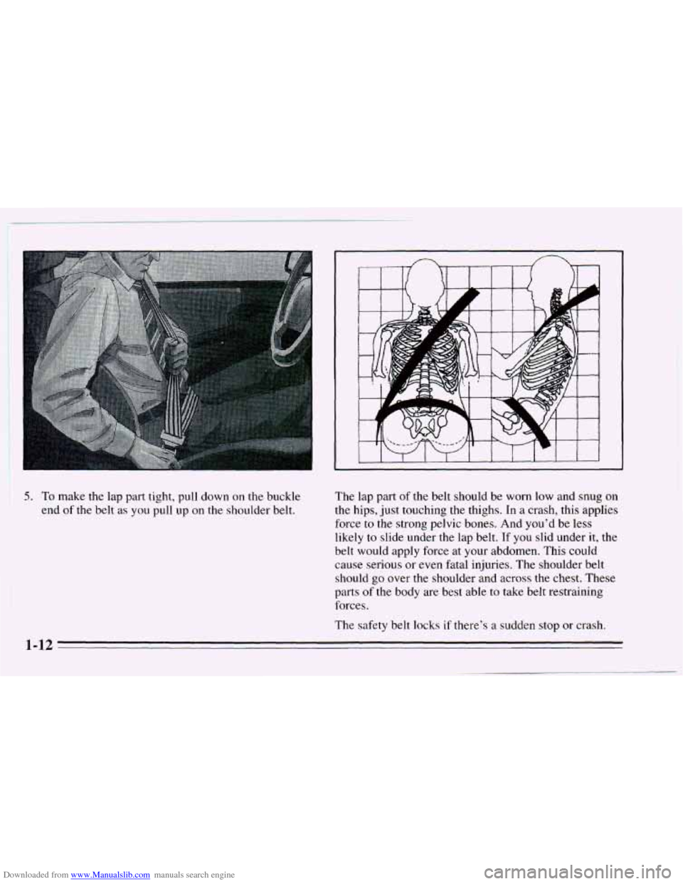 CHEVROLET CAVALIER 1995 3.G Owners Manual Downloaded from www.Manualslib.com manuals search engine 5. To make the lap part tight, pull down on the buckle 
end  of the  belt  as you  pull up  on the shoulder belt.  The  lap 
part of the belt s