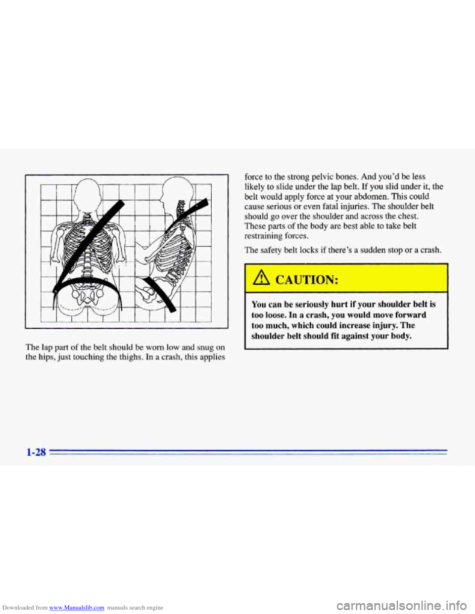 CHEVROLET CAVALIER 1996 3.G Owners Guide Downloaded from www.Manualslib.com manuals search engine The lap part of the belt should be worn low and snug on
the hips, just touching the thighs.
In a crash, this applies force t CHEVROLET CAVALIER 1996 3.G Owners Guide Downloaded from www.Manualslib.com manuals search engine The lap part of the belt should be worn low and snug on
the hips, just touching the thighs.
In a crash, this applies force t