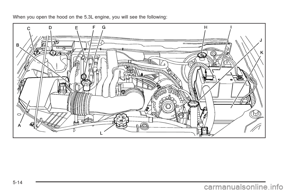 CHEVROLET COLORADO 2009 1.G Owners Manual When you open the hood on the 5.3L engine, you will see the following:
5-14 