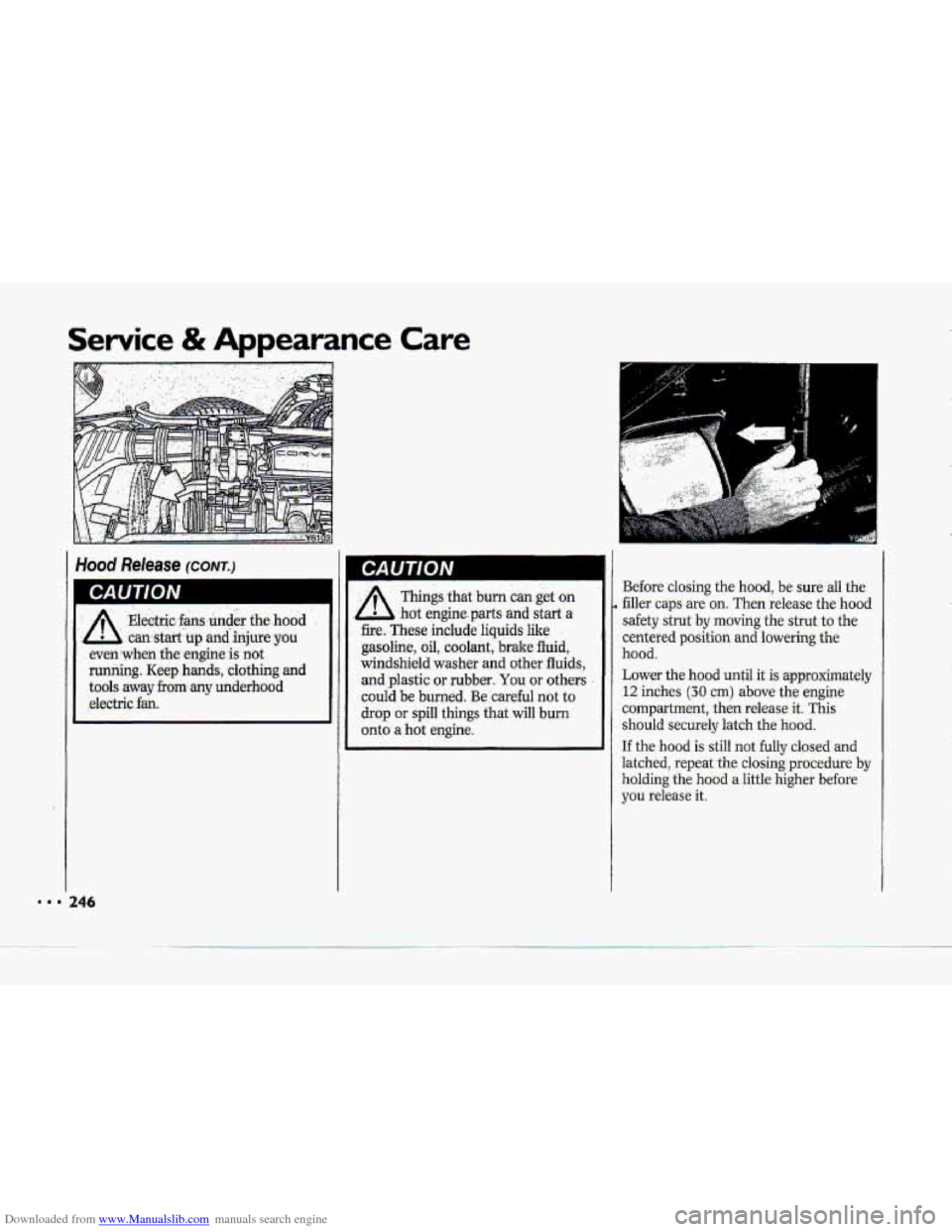 CHEVROLET CORVETTE 1993 4.G Owners Manual Downloaded from www.Manualslib.com manuals search engine I 
Service & Appearance Care 
:A Electric. fansunder  the hood 
can stariup and .injure yuu 
even  when  the engine  is not 
running. Keep  han