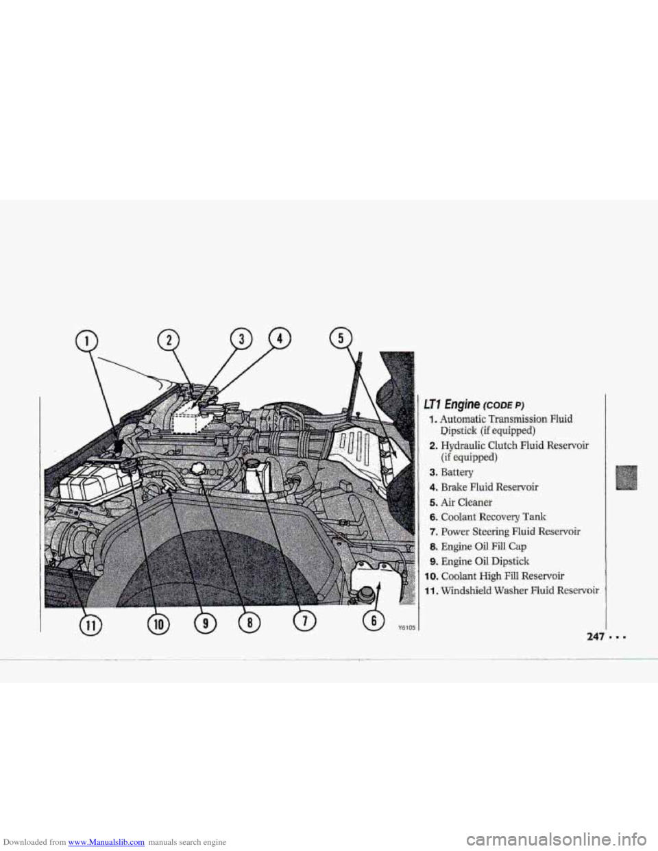 CHEVROLET CORVETTE 1993 4.G Owners Manual Downloaded from www.Manualslib.com manuals search engine 0 Y6105 
LT7 hgine (CODE PI 
t a Automatic  Transmission  Fluid 
2. Hydraulic  Clutch Fluid Reservoir 
3. Battery 
4. Brake Fluid Reservoir 
5.