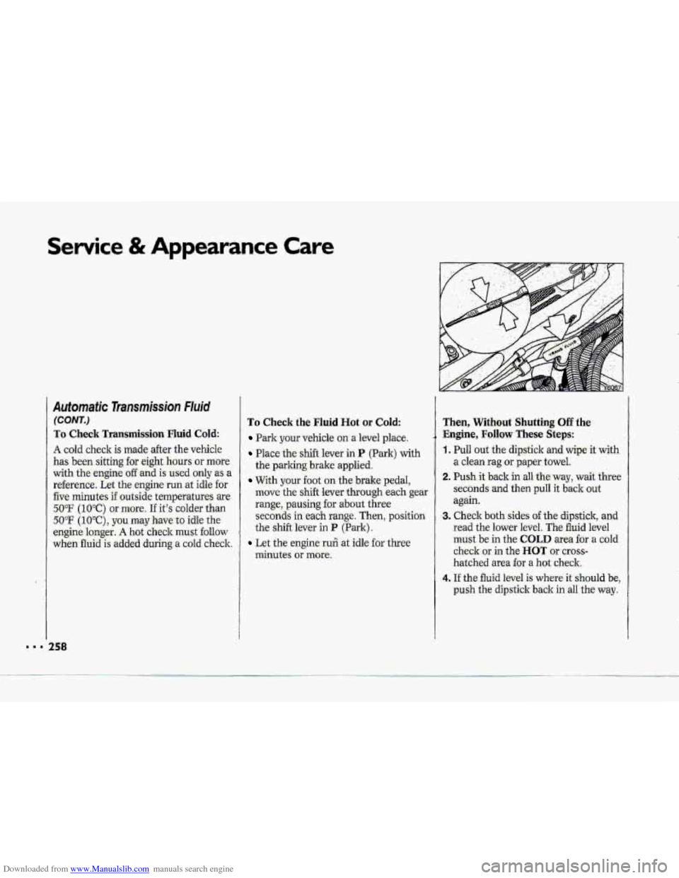 CHEVROLET CORVETTE 1993 4.G Owners Manual Downloaded from www.Manualslib.com manuals search engine Service & Appearance Care
Automatic Transmission Fluid
(C.ONT.)
To Check Trafisinission Fluid Cold:.
A cold check is made after the-vehicle CHEVROLET CORVETTE 1993 4.G Owners Manual Downloaded from www.Manualslib.com manuals search engine Service & Appearance Care
Automatic Transmission Fluid
(C.ONT.)
To Check Trafisinission Fluid Cold:.
A cold check is made after the-vehicle