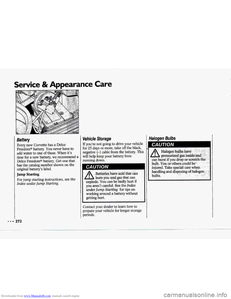 CHEVROLET CORVETTE 1993 4.G Owners Manual Downloaded from www.Manualslib.com manuals search engine Service & Appearance Care
Battery
Every new Corvette has a Delco
Freedoma battery. You never have to
add water to one of these. When its CHEVROLET CORVETTE 1993 4.G Owners Manual Downloaded from www.Manualslib.com manuals search engine Service & Appearance Care
Battery
Every new Corvette has a Delco
Freedoma battery. You never have to
add water to one of these. When its