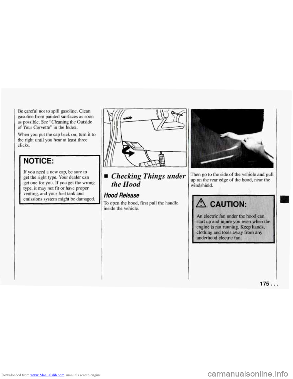 CHEVROLET CORVETTE 1994 4.G Owners Manual Downloaded from www.Manualslib.com manuals search engine Be careful not to spill gasoline. Clean
5asoline from painted suirfaces
as soon
1s possible. See “Cleaning the Outside
If Your C CHEVROLET CORVETTE 1994 4.G Owners Manual Downloaded from www.Manualslib.com manuals search engine Be careful not to spill gasoline. Clean
5asoline from painted suirfaces
as soon
1s possible. See “Cleaning the Outside
If Your C