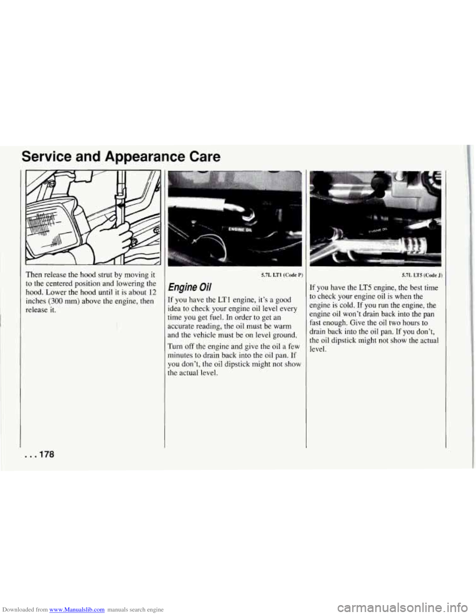 CHEVROLET CORVETTE 1994 4.G Owners Manual Downloaded from www.Manualslib.com manuals search engine Service and Appearance Care
Then release the hood strut by moving it
to the centered position and lowering the
hood. Lower th CHEVROLET CORVETTE 1994 4.G Owners Manual Downloaded from www.Manualslib.com manuals search engine Service and Appearance Care
Then release the hood strut by moving it
to the centered position and lowering the
hood. Lower th