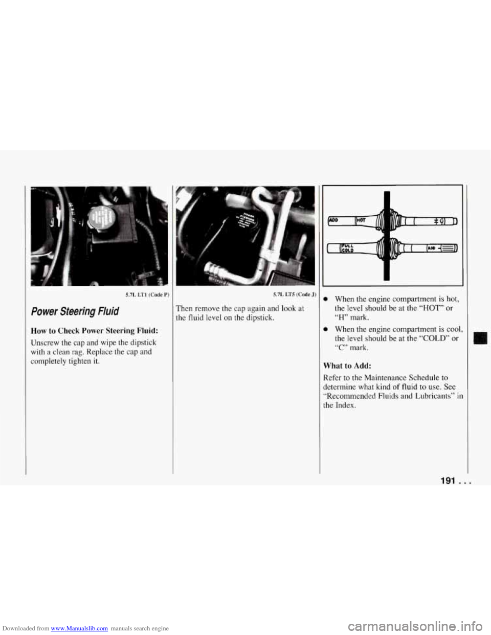 CHEVROLET CORVETTE 1994 4.G Owners Manual Downloaded from www.Manualslib.com manuals search engine 5.7L LT1 (Code P)
Power Steering Fluid
How to Check Power Steering Fluid:
Unscrew the cap and wipe the dipstick with a clean ra CHEVROLET CORVETTE 1994 4.G Owners Manual Downloaded from www.Manualslib.com manuals search engine 5.7L LT1 (Code P)
Power Steering Fluid
How to Check Power Steering Fluid:
Unscrew the cap and wipe the dipstick with a clean ra