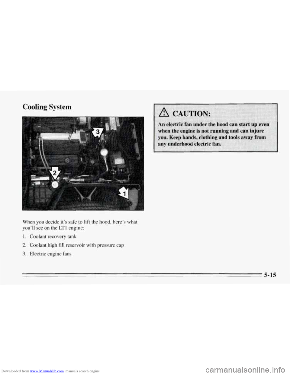 CHEVROLET CORVETTE 1995 4.G Owners Manual Downloaded from www.Manualslib.com manuals search engine Cooling System 
When  you decide it’s safe  to lift the hood, here’s  what 
you’ll  see on  the 
LT1 engine: 
1. Coolant  recovery  tank 