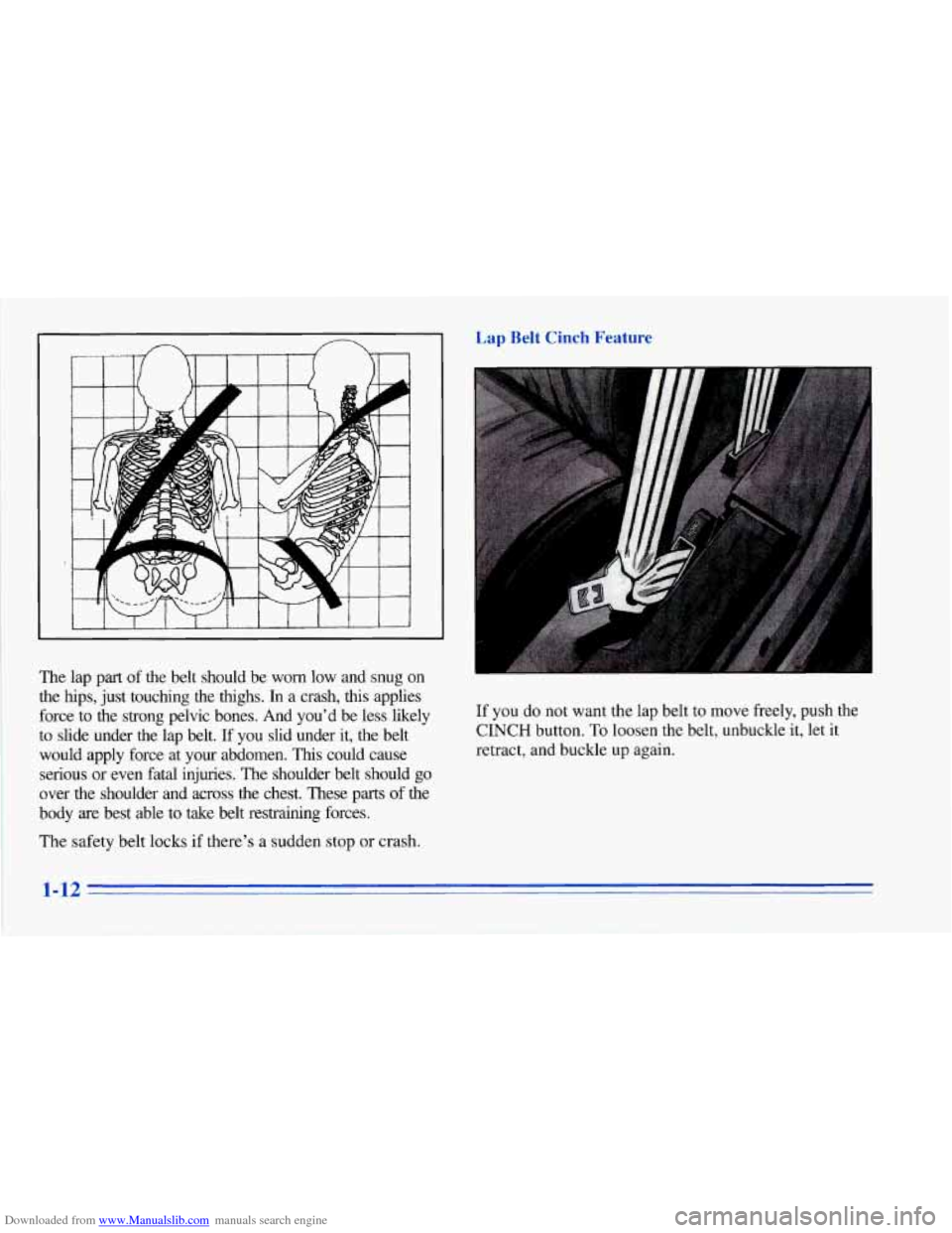 CHEVROLET CORVETTE 1996 4.G Owners Manual Downloaded from www.Manualslib.com manuals search engine The lap part of the belt should be worn low and snug on
the hips, just touching the thighs. In a crash, &us applies
force to CHEVROLET CORVETTE 1996 4.G Owners Manual Downloaded from www.Manualslib.com manuals search engine The lap part of the belt should be worn low and snug on
the hips, just touching the thighs. In a crash, &us applies
force to