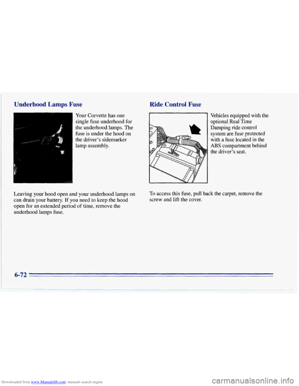 CHEVROLET CORVETTE 1996 4.G Owners Manual Downloaded from www.Manualslib.com manuals search engine Underhood Lamps Fuse
Your Corvette has one
I single fuse underhood for
the underhood lamps.
The
fuse is under the hood on
the driver†CHEVROLET CORVETTE 1996 4.G Owners Manual Downloaded from www.Manualslib.com manuals search engine Underhood Lamps Fuse
Your Corvette has one
I single fuse underhood for
the underhood lamps.
The
fuse is under the hood on
the driverâ€