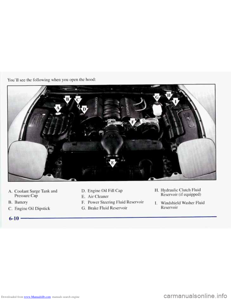 CHEVROLET CORVETTE 1997 5.G Owners Manual Downloaded from www.Manualslib.com manuals search engine You’ll see the following when  you open the hood: 
A. Coolant Surge  Tank and 
Pressure  Cap 
B. Battery 
C.  Engine  Oil Dipstick 
D. Engine