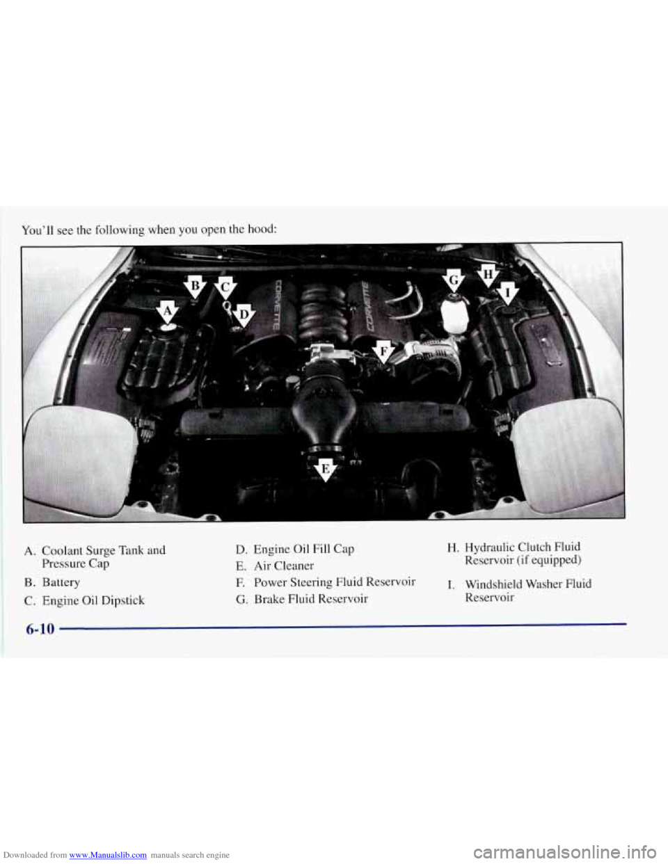 CHEVROLET CORVETTE 1997 5.G Owners Manual Downloaded from www.Manualslib.com manuals search engine You’ll see the following when you open the hood:
A. Coolant Surge Tank and
Pressure Cap
B. Battery
C. Engine Oil Dipstick
D. Engine CHEVROLET CORVETTE 1997 5.G Owners Manual Downloaded from www.Manualslib.com manuals search engine You’ll see the following when you open the hood:
A. Coolant Surge Tank and
Pressure Cap
B. Battery
C. Engine Oil Dipstick
D. Engine