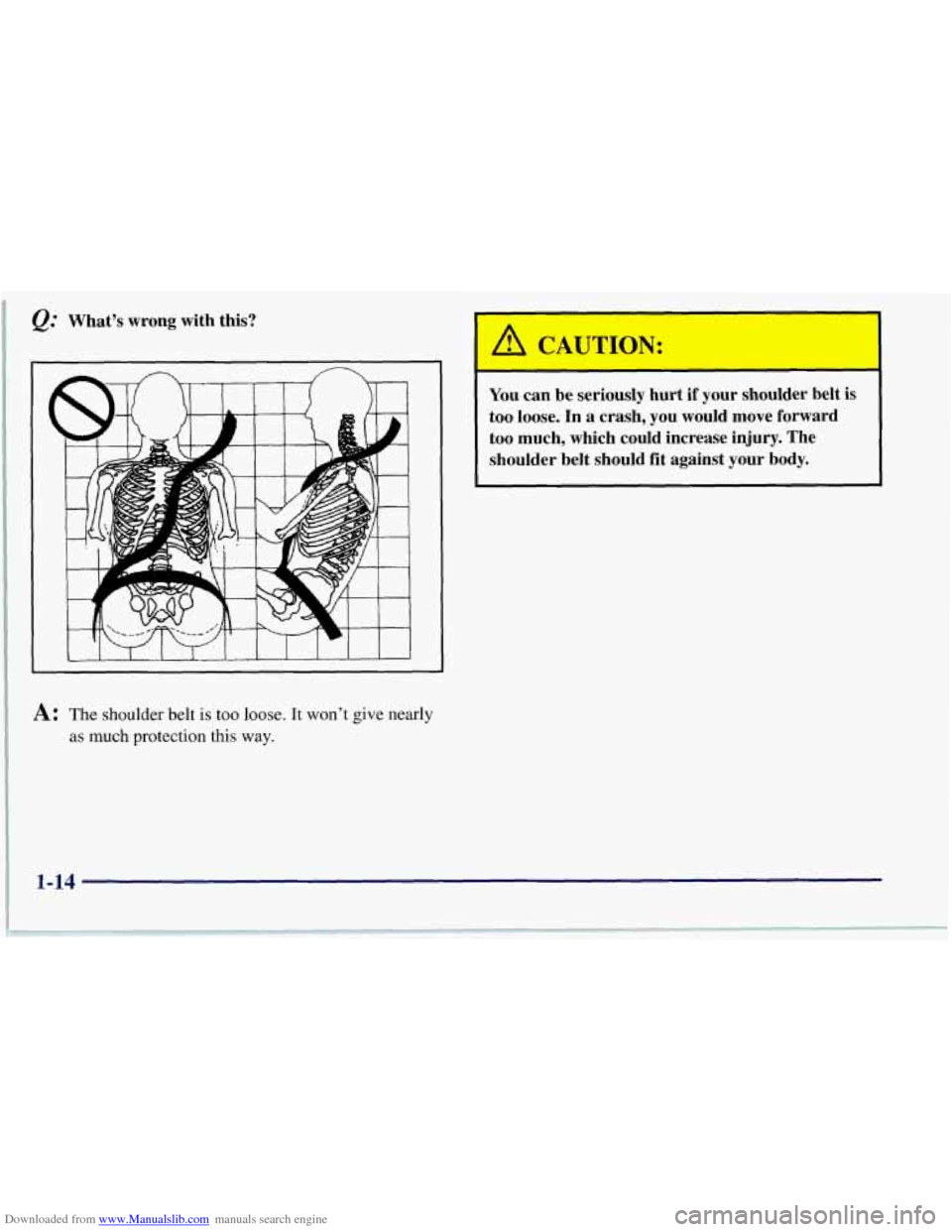 CHEVROLET CORVETTE 1997 5.G Owners Manual Downloaded from www.Manualslib.com manuals search engine a CAUTION: 
- 
You can be  seriously  hurt  if  your  shoulder  belt  is 
too  loose. 
In a  crash,  you  would  move  forward 
too  much,  whi