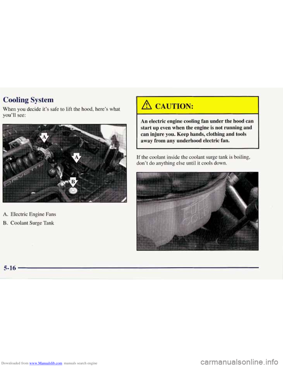 CHEVROLET CORVETTE 1998 5.G Owners Manual Downloaded from www.Manualslib.com manuals search engine Cooling System
When you decide it’s safe to lift the hood, here’s what
you’ll
see:
An electric engine cooling fan under th CHEVROLET CORVETTE 1998 5.G Owners Manual Downloaded from www.Manualslib.com manuals search engine Cooling System
When you decide it’s safe to lift the hood, here’s what
you’ll
see:
An electric engine cooling fan under th