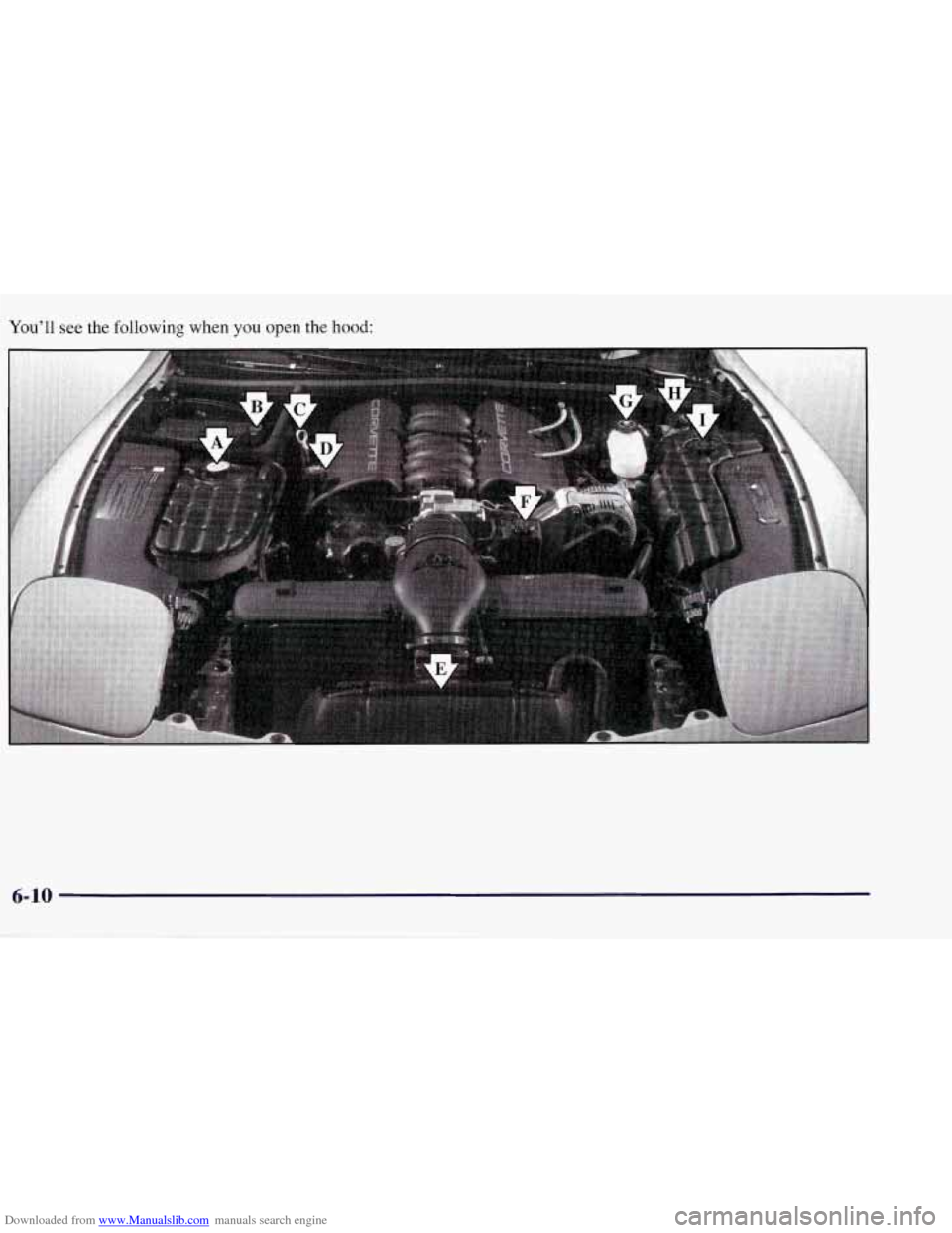 CHEVROLET CORVETTE 1998 5.G Owners Manual Downloaded from www.Manualslib.com manuals search engine Youll see the following when you open the hood:
D!
E
6-10
-~ CHEVROLET CORVETTE 1998 5.G Owners Manual Downloaded from www.Manualslib.com manuals search engine Youll see the following when you open the hood:
D!
E
6-10
-~