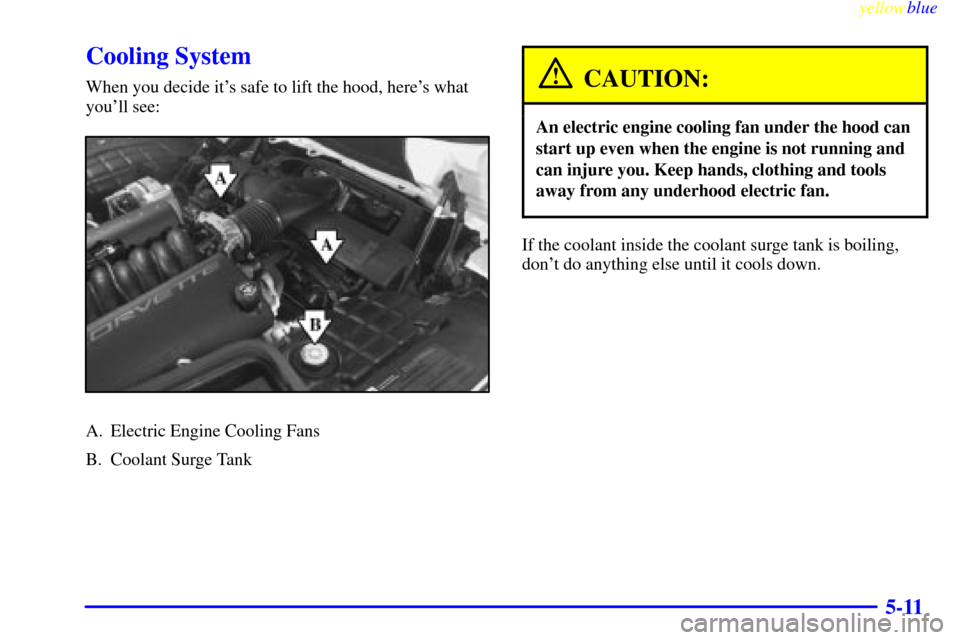 CHEVROLET CORVETTE 1999 5.G Owners Manual yellowblue     
5-11
Cooling System
When you decide its safe to lift the hood, heres what
youll see:
A. Electric Engine Cooling Fans
B. Coolant Surge Tank
CAUTION:
An electric engine cooling fan un