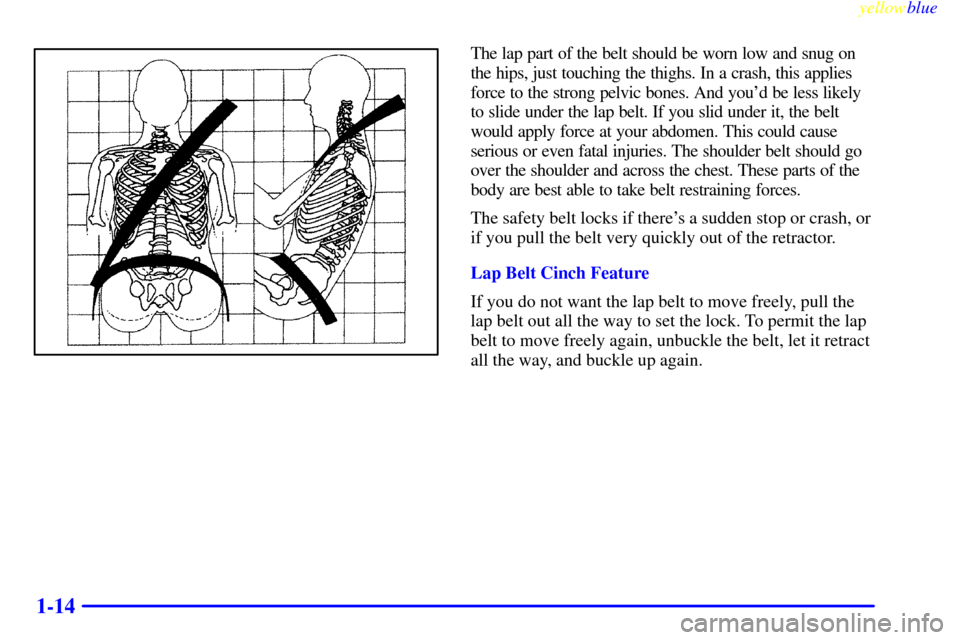 CHEVROLET CORVETTE 1999 5.G Owners Manual yellowblue     
1-14
The lap part of the belt should be worn low and snug on
the hips, just touching the thighs. In a crash, this applies
force to the strong pelvic bones. And youd be less likely
to 