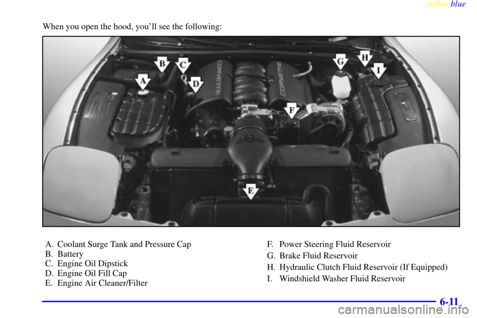 CHEVROLET CORVETTE 1999 5.G Owners Manual yellowblue     
6-11
When you open the hood, youll see the following:
A. Coolant Surge Tank and Pressure Cap
B. Battery
C. Engine Oil Dipstick
D. Engine Oil Fill Cap
E. Engine Air Cleaner/FilterF. Po