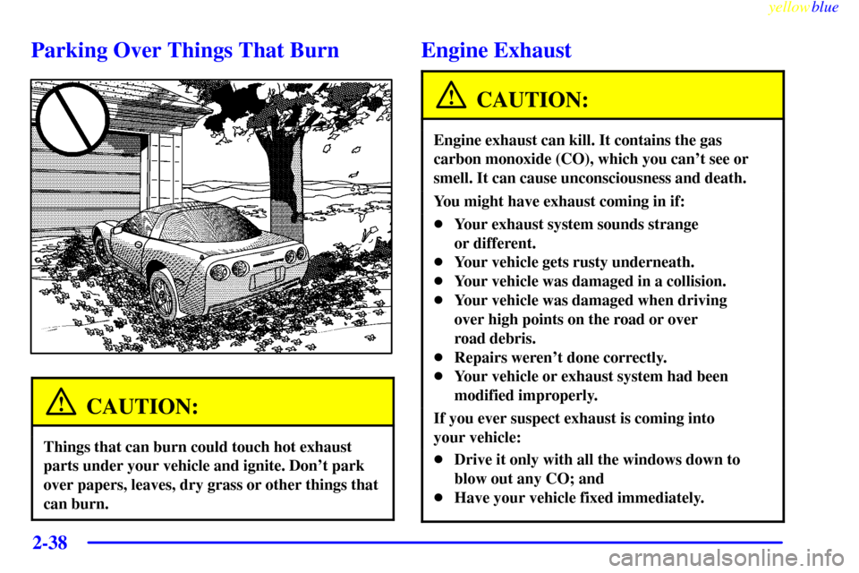 CHEVROLET CORVETTE 1999 5.G Manual Online yellowblue     
2-38
Parking Over Things That Burn
CAUTION:
Things that can burn could touch hot exhaust
parts under your vehicle and ignite. Dont park
over papers, leaves, dry grass or other things 
