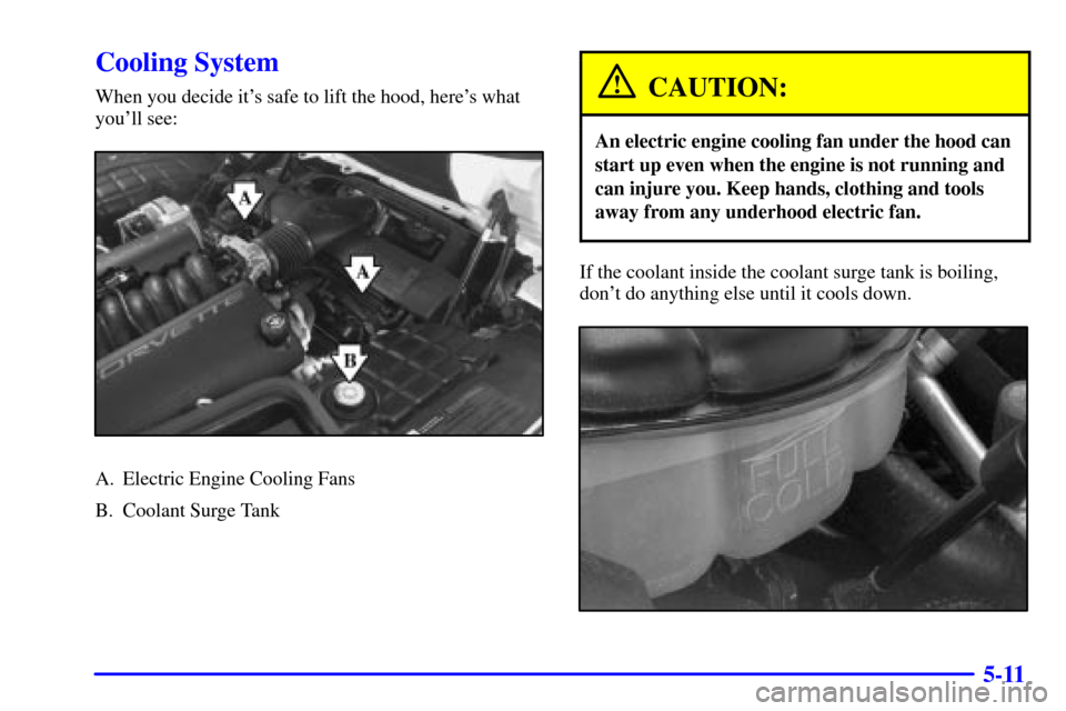 CHEVROLET CORVETTE 2000 5.G Owners Manual 5-11
Cooling System
When you decide its safe to lift the hood, heres what
youll see:
A. Electric Engine Cooling Fans
B. Coolant Surge Tank
CAUTION:
An electric engine cooling fan under the hood can