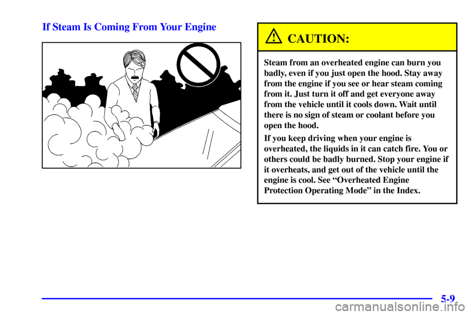 CHEVROLET CORVETTE 2001 5.G Owners Manual 5-9 If Steam Is Coming From Your Engine
CAUTION:
Steam from an overheated engine can burn you
badly, even if you just open the hood. Stay away
from the engine if you see or hear steam coming
from it. 