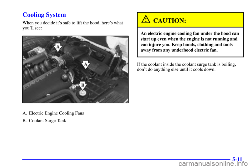 CHEVROLET CORVETTE 2001 5.G Owners Manual 5-11
Cooling System
When you decide its safe to lift the hood, heres what
youll see:
A. Electric Engine Cooling Fans
B. Coolant Surge Tank
CAUTION:
An electric engine cooling fan under the hood can