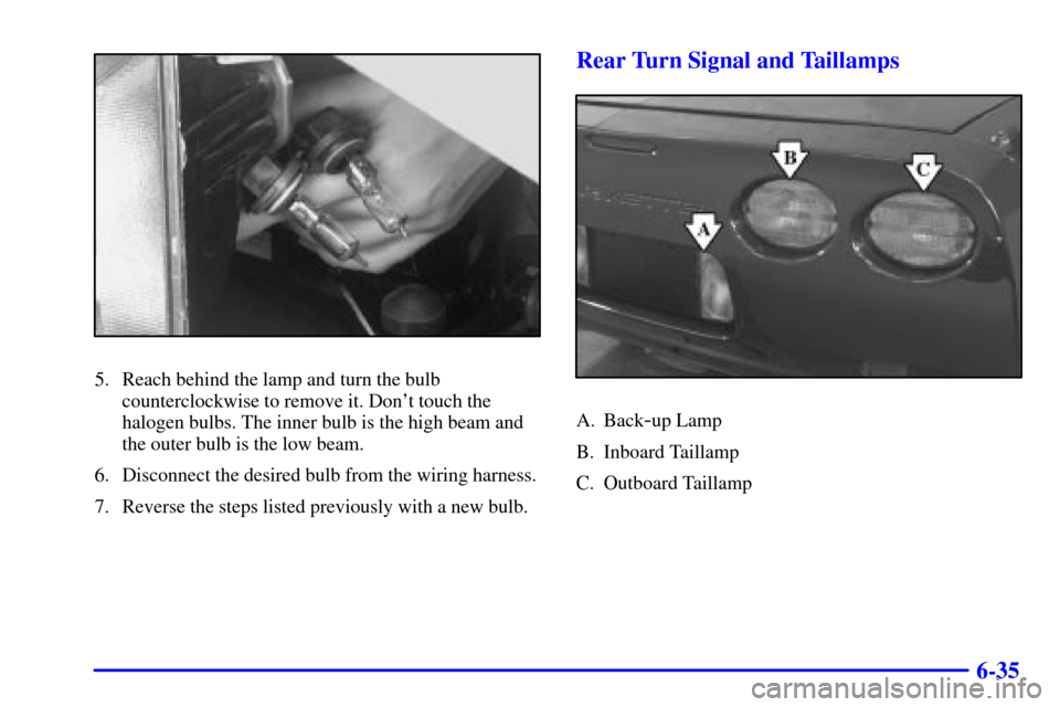 CHEVROLET CORVETTE 2001 5.G Owners Manual 6-35
5. Reach behind the lamp and turn the bulb
counterclockwise to remove it. Dont touch the
halogen bulbs. The inner bulb is the high beam and
the outer bulb is the low beam.
6. Disconnect the desi