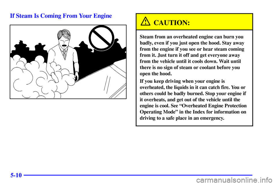 CHEVROLET CORVETTE 2002 5.G Owners Manual 5-10 If Steam Is Coming From Your Engine
CAUTION:
Steam from an overheated engine can burn you
badly, even if you just open the hood. Stay away
from the engine if you see or hear steam coming
from it.