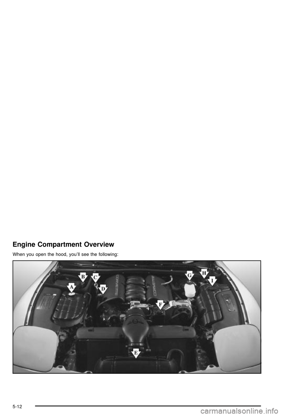 CHEVROLET CORVETTE 2003 5.G Owners Manual Engine Compartment Overview
When you open the hood, youll see the following:
5-12 CHEVROLET CORVETTE 2003 5.G Owners Manual Engine Compartment Overview
When you open the hood, youll see the following:
5-12