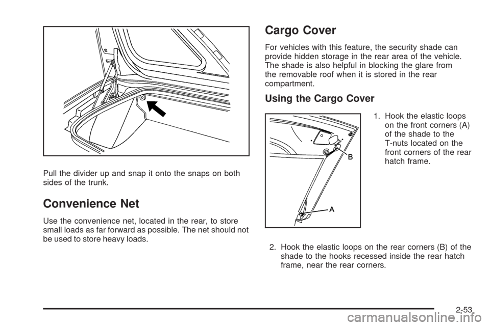CHEVROLET CORVETTE 2009 6.G Owners Manual Pull the divider up and snap it onto the snaps on both
sides of the trunk.
Convenience Net
Use the convenience net, located in the rear, to store
small loads as far forward as possible. The net should