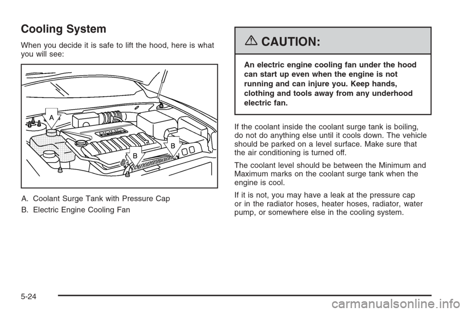 CHEVROLET EPICA 2006 1.G Owners Manual Cooling System
When you decide it is safe to lift the hood, here is what
you will see:
A. Coolant Surge Tank with Pressure Cap
B. Electric Engine Cooling Fan{CAUTION:
An electric engine cooling fan un