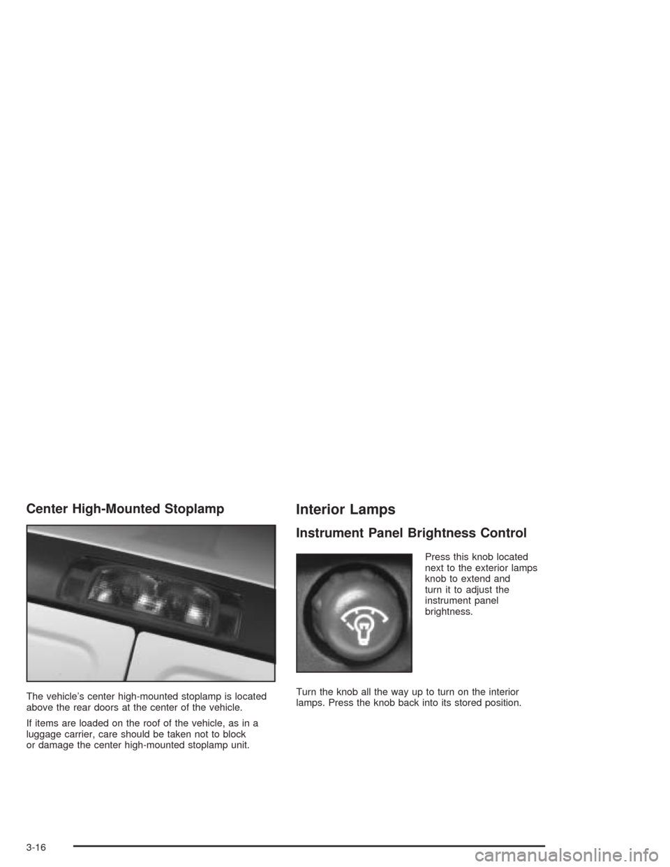CHEVROLET EXPRESS CARGO VAN 2004 1.G Owners Manual Center High-Mounted Stoplamp
The vehicle’s center high-mounted stoplamp is located
above the rear doors at the center of the vehicle.
If items are loaded on the roof of the vehicle, as in a
luggage 
