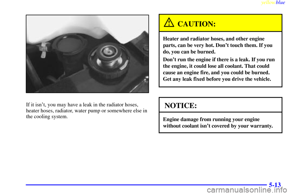 CHEVROLET EXPRESS CARGO VAN 2000 1.G Owners Manual yellowblue     
5-13
If it isnt, you may have a leak in the radiator hoses,
heater hoses, radiator, water pump or somewhere else in
the cooling system.
CAUTION:
Heater and radiator hoses, and other e