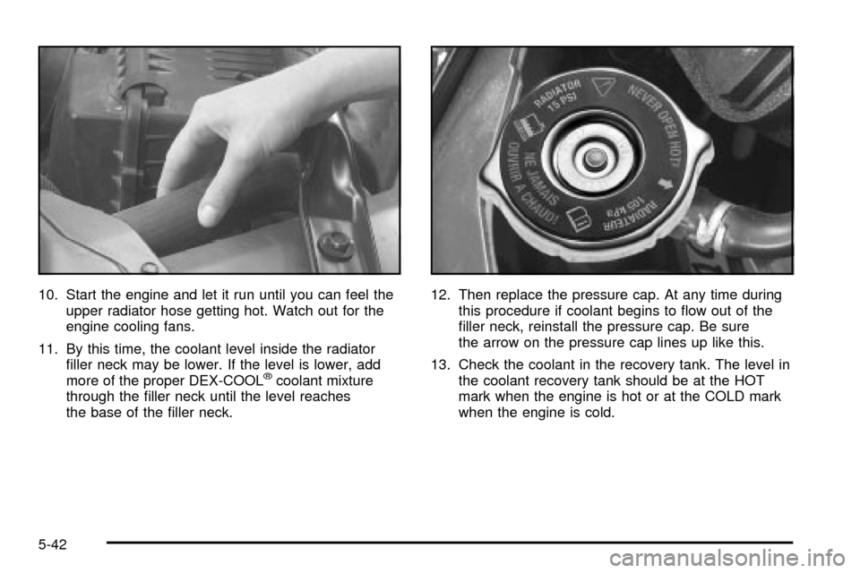 CHEVROLET IMPALA 2003 8.G Owners Manual 10. Start the engine and let it run until you can feel the
upper radiator hose getting hot. Watch out for the
engine cooling fans.
11. By this time, the coolant level inside the radiator
®ller neck m CHEVROLET IMPALA 2003 8.G Owners Manual 10. Start the engine and let it run until you can feel the
upper radiator hose getting hot. Watch out for the
engine cooling fans.
11. By this time, the coolant level inside the radiator
®ller neck m