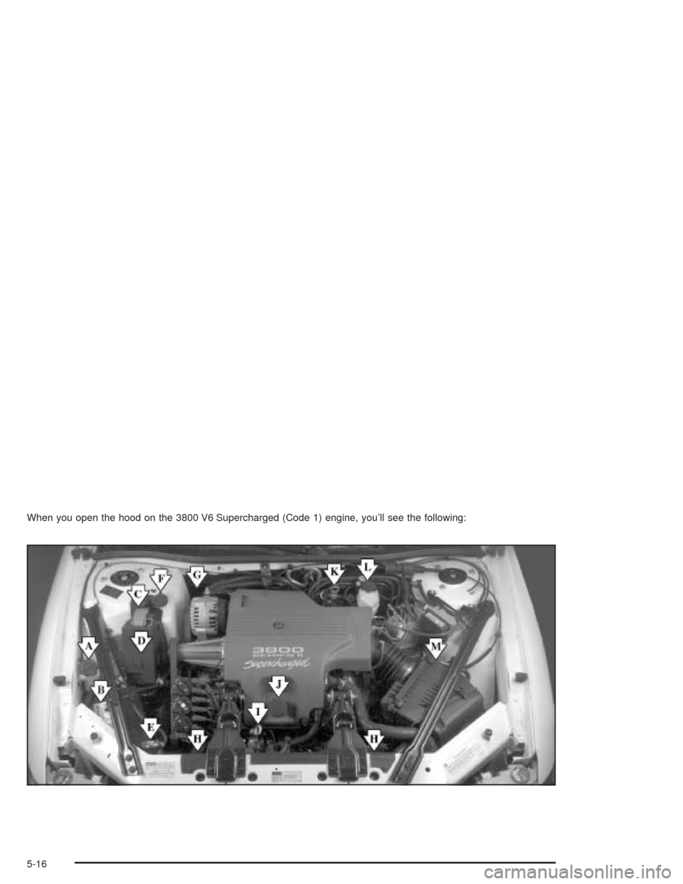 CHEVROLET IMPALA 2004 8.G Owners Manual When you open the hood on the 3800 V6 Supercharged (Code 1) engine, you’ll see the following:
5-16 