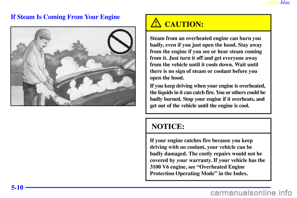 CHEVROLET LUMINA 1999 2.G Owners Manual yellowblue     
5-10 If Steam Is Coming From Your Engine
CAUTION:
Steam from an overheated engine can burn you
badly, even if you just open the hood. Stay away
from the engine if you see or hear steam