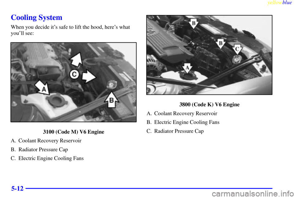 CHEVROLET LUMINA 1999 2.G Owners Manual yellowblue     
5-12
Cooling System
When you decide its safe to lift the hood, heres what
youll see:
3100 (Code M) V6 Engine
A. Coolant Recovery Reservoir
B. Radiator Pressure Cap
C. Electric Engin