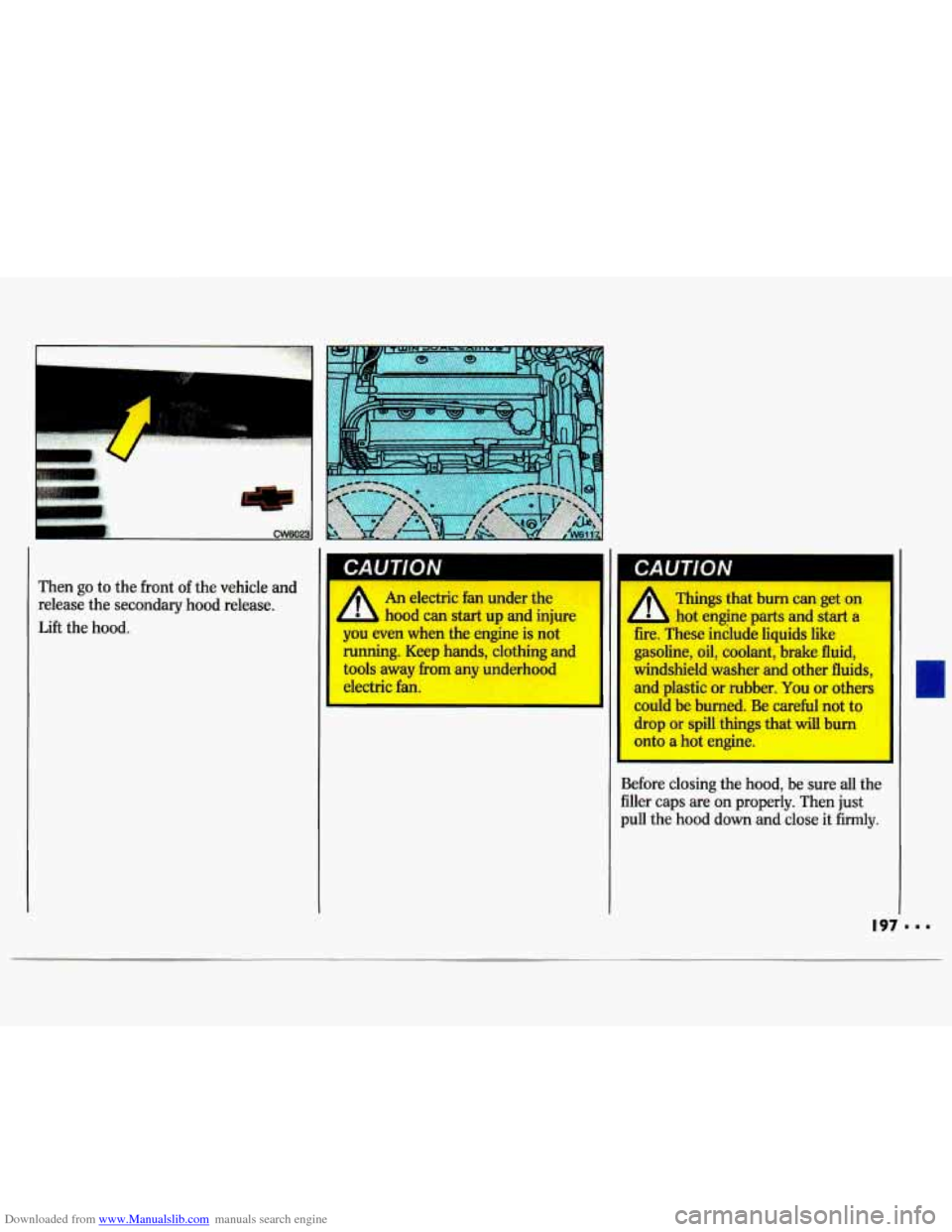 CHEVROLET LUMINA 1993 1.G Owners Manual Downloaded from www.Manualslib.com manuals search engine Then go to the front of the vehicle and
release the secondary hood release.
Lift the hood.
An electric fan under the
- hood can CHEVROLET LUMINA 1993 1.G Owners Manual Downloaded from www.Manualslib.com manuals search engine Then go to the front of the vehicle and
release the secondary hood release.
Lift the hood.
An electric fan under the
- hood can