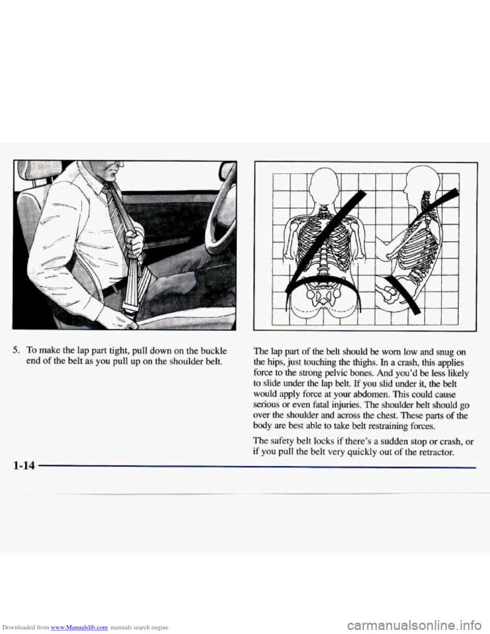 CHEVROLET MALIBU 1997 5.G Owners Manual Downloaded from www.Manualslib.com manuals search engine 5. To make  the  lap  part  tight,  pull  down  on  the  buckle 
end  of the  belt 
as you  pull  up  on  the  shoulder  belt.  The  lap  part 