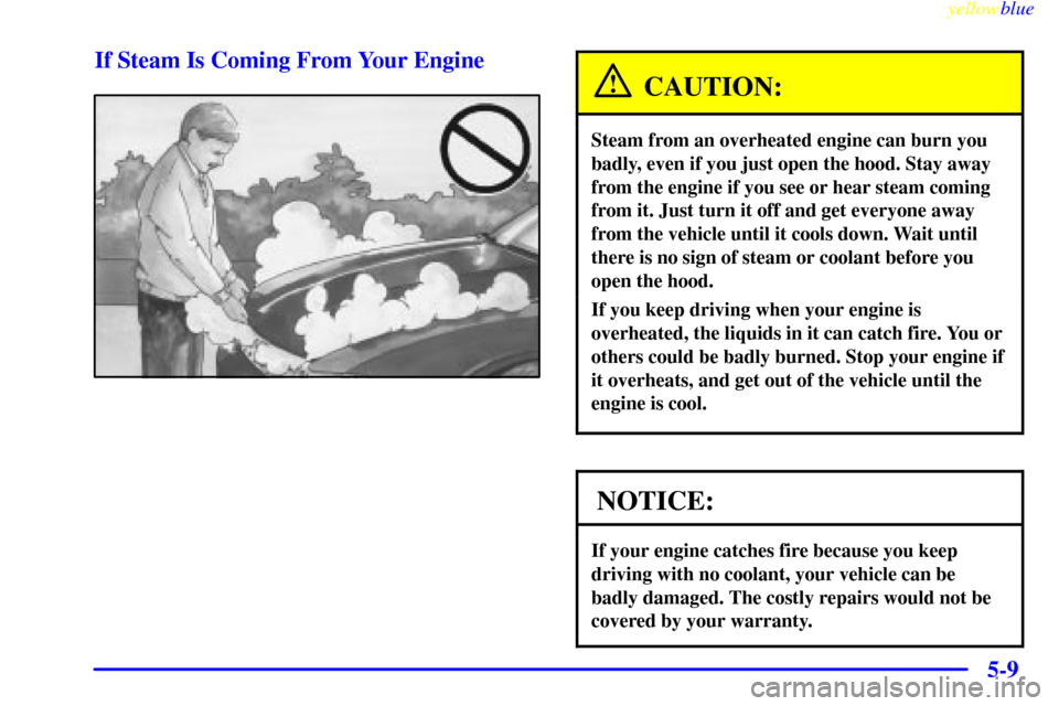 CHEVROLET MALIBU 1999 5.G Owners Manual yellowblue     
5-9 If Steam Is Coming From Your Engine
CAUTION:
Steam from an overheated engine can burn you
badly, even if you just open the hood. Stay away
from the engine if you see or hear steam 