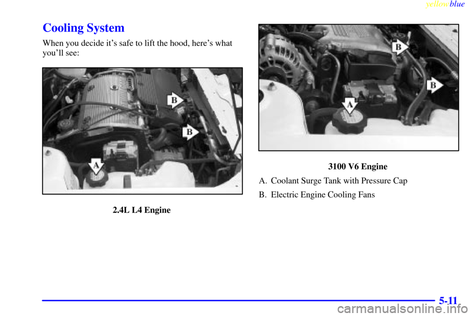 CHEVROLET MALIBU 1999 5.G Owners Manual yellowblue     
5-11
Cooling System
When you decide its safe to lift the hood, heres what
youll see:
2.4L L4 Engine 
3100 V6 Engine 
A. Coolant Surge Tank with Pressure Cap
B. Electric Engine Cooli