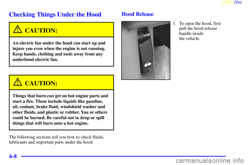 CHEVROLET MALIBU 1999 5.G Owners Manual yellowblue     
6-8
Checking Things Under the Hood
CAUTION:
An electric fan under the hood can start up and
injure you even when the engine is not running.
Keep hands, clothing and tools away from any