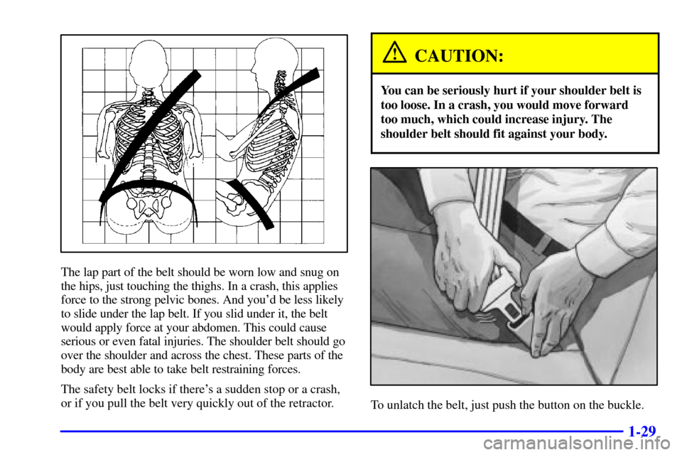 CHEVROLET MALIBU 2000 5.G Service Manual 1-29
The lap part of the belt should be worn low and snug on
the hips, just touching the thighs. In a crash, this applies
force to the strong pelvic bones. And youd be less likely
to slide under the 