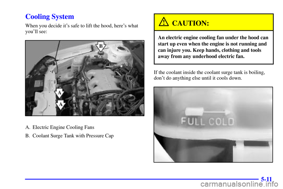 CHEVROLET MALIBU 2001 5.G Owners Manual 5-11
Cooling System
When you decide its safe to lift the hood, heres what
youll see:
A. Electric Engine Cooling Fans
B. Coolant Surge Tank with Pressure Cap
CAUTION:
An electric engine cooling fan CHEVROLET MALIBU 2001 5.G Owners Manual 5-11
Cooling System
When you decide its safe to lift the hood, heres what
youll see:
A. Electric Engine Cooling Fans
B. Coolant Surge Tank with Pressure Cap
CAUTION:
An electric engine cooling fan